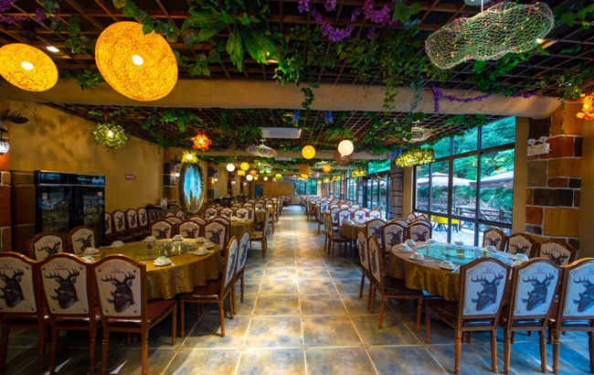 6225064f396b55c73c039179736a112f_6376291560261849468683453.jpg 6225064f396b55c73c039179736a112f_6376291560261849468683453.jpg